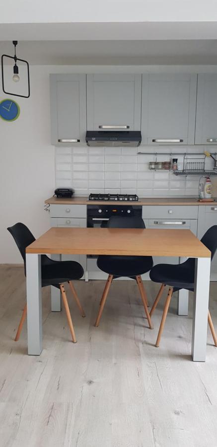Casa Zorilor Cluj Apartman Kültér fotó